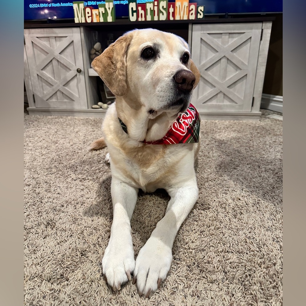 🥰♥️LIVE SHOW Notification- Carey is LIVE!!! 🥰 ♥️CPUWAL is LIVE!♥️🥰 - Picture 11 of 16